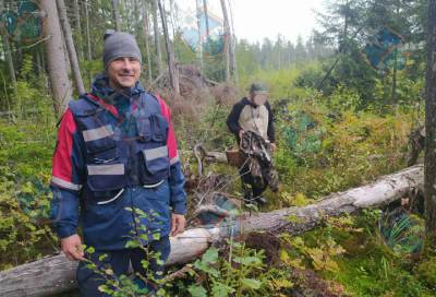 Спасатели вывели из леса Ленобласти троих потерявшихся граждан