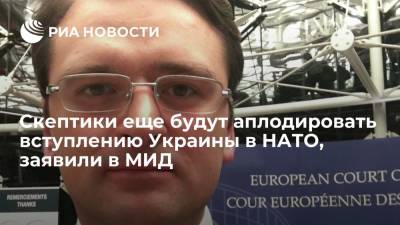 Глава МИД Украины Кулеба: скептики еще будут аплодировать вступлению страны в НАТО