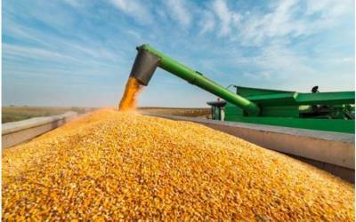 В Украине будет собран самый большой урожай за всю историю