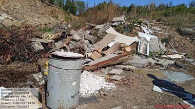 «Вывозили машинами». Активисты обнаружили стихийные свалки мусора в лесу под Златоустом