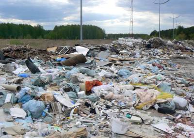 Общественники обнаружили стихийные свалки мусора в лесах Златоуста