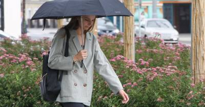 Москвичей предупредили о сильном дожде с грозой 1 сентября