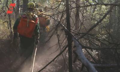 В Златоусте обнаружили тонны опасного мусора: лес может загореться
