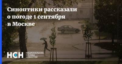 Синоптики рассказали о погоде 1 сентября в Москве