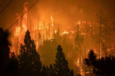 Тысячи американцев бегут от лесного пожара в Калифорнии (видео)