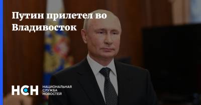 Путин прилетел во Владивосток