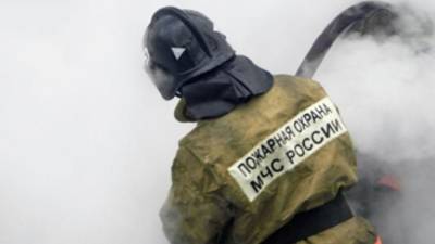 Восемь домов сгорели при пожаре в СНТ под Екатеринбургом