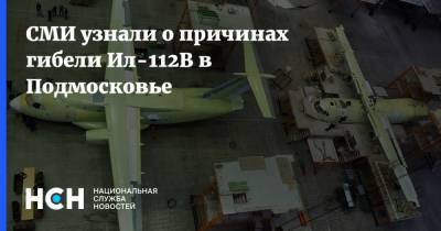 СМИ узнали о причинах гибели Ил-112В в Подмосковье