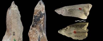 В Италии обнаружена самая большая коллекция костяных орудий возрастом 400 тысяч лет