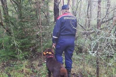 Пропавшего у озера пенсионера разыскивают под Великими Луками