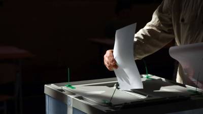 Лавров заявил о мерах для прозрачности голосования на выборах в ГД за рубежом