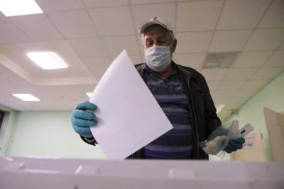 Вирусолог рассказала о плюсах онлайн-голосования для москвичей
