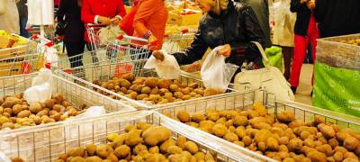 Глава Минсельхоза объяснил, почему на прилавках магазинов в Карелии, в основном, привозной картофель