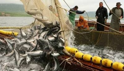 В Азовском море стартовал промышленный лов рыбы - hubs.ua - Украина - с. 1 Сентября - Азовское Море