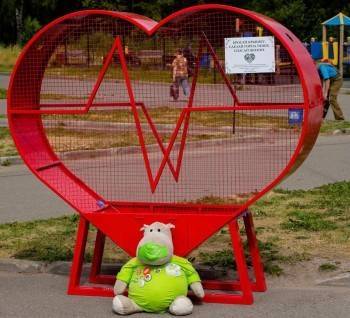 Новый арт-объект «Сердце» для сбора крышек установят в Вологде на площади Чайковского