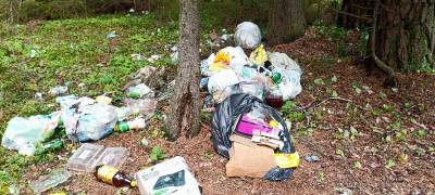 Александр Чепик - В правительстве Карелии задумались, кто должен платить за вывоз мусора, оставшийся от туристов - stolicaonego.ru - республика Карелия - Экология