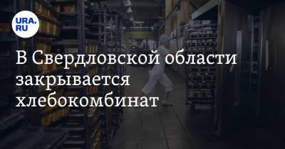В Свердловской области закрывается хлебокомбинат. Он поставлял продукцию в детсады и школы