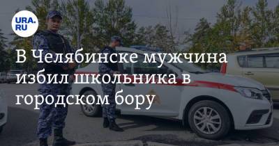 В Челябинске мужчина избил школьника в городском бору