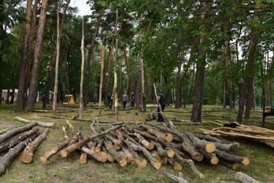 В Центральном городском парке Белгорода установят 30 деревянных качелей