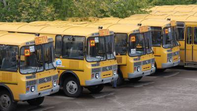 Кабмин выделил 15 млрд рублей на покупку школьных автобусов