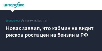 Новак заявил, что кабмин не видит рисков роста цен на бензин в РФ