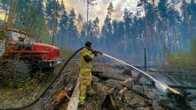 В МЧС рассказали о ситуации с пожаром в заповеднике Мордовии