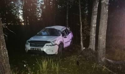 Трое детей пострадали в ДТП в Карелии: машина врезалась в дерево