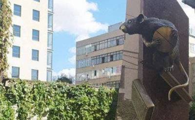 3,5-метровая крыса появилась в Харькове, фото: где она находится