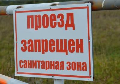 В Рязанской области выявлен инфекционный эпидидимит баранов