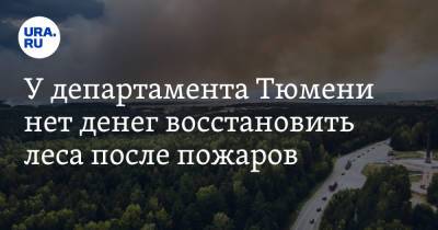 У департамента Тюмени нет денег восстановить леса после пожаров