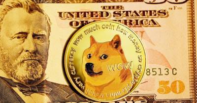Нешуточные миллионы: американец разбогател на мемном Dogecoin благодаря твитам Маска (видео)