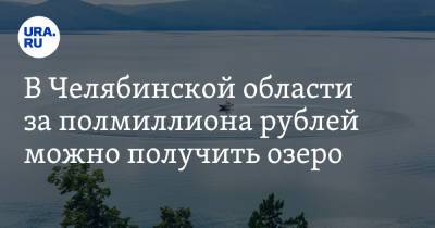 В Челябинской области за полмиллиона рублей можно получить озеро. Скрин