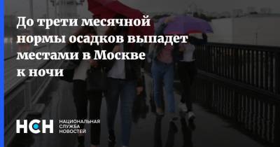 До трети месячной нормы осадков выпадет местами в Москве к ночи