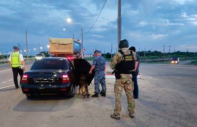 Полиция изъяла около 200 кг наркотиков во время рейда "Звезда Каспия"