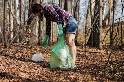 За месяц в Псковской области от мусора очистили 4 километра берега