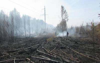 Лесные пожары в Марий Эл сегодня, 2 сентября, последние новости