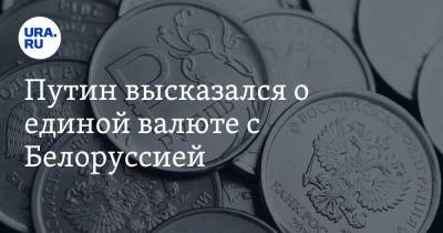 Путин высказался о единой валюте с Белоруссией