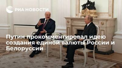 Президент Путин: для создания единой валюты нужна общая макроэкономическая политика