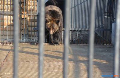 Сахалинский зоопарк меняет расписание на осень