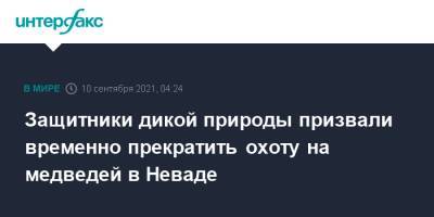 Защитники дикой природы призвали временно прекратить охоту на медведей в Неваде