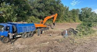 Активисты пожаловались в полицию на возобновление вырубки дубов в Волго-Ахтубинской пойме