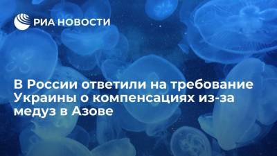 В Совфеде и Госдуме ответили на требование Украины о компенсациях из-за медуз в Азове