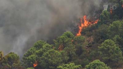 В Испании тушат лес в туристической Малаге, один пожарный погиб