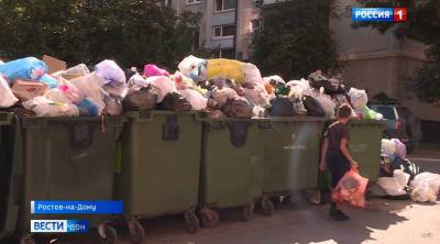 В Ростове не хватает мусорных контейнеров