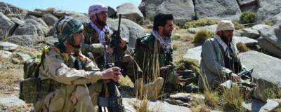 Представитель ополченцев в Панджшере Али Назари: талибы изгнали из провинции тысячи людей
