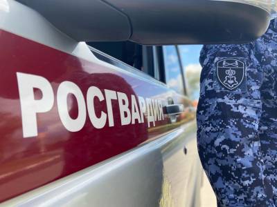 В Ульяновске росгвардейцы задержали земляков с наркотиками