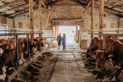 «До сих пор перед глазами лежащие коровы с больными суставами». Эмилия Слабунова побывала на молочной ферме «Искра», принадлежащей питерской фирме «Сила Инвеста»