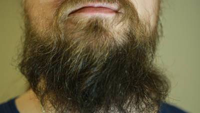 Защитная борода и запах насилия: за какие открытия присудили Шнобелевскую премию