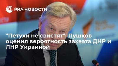 Сенатор Пушков ответил на заявление секретаря СНБО Украины о возможности захвата ДНР и ЛНР