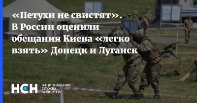 «Петухи не свистят». В России оценили обещания Киева «легко взять» Донецк и Луганск